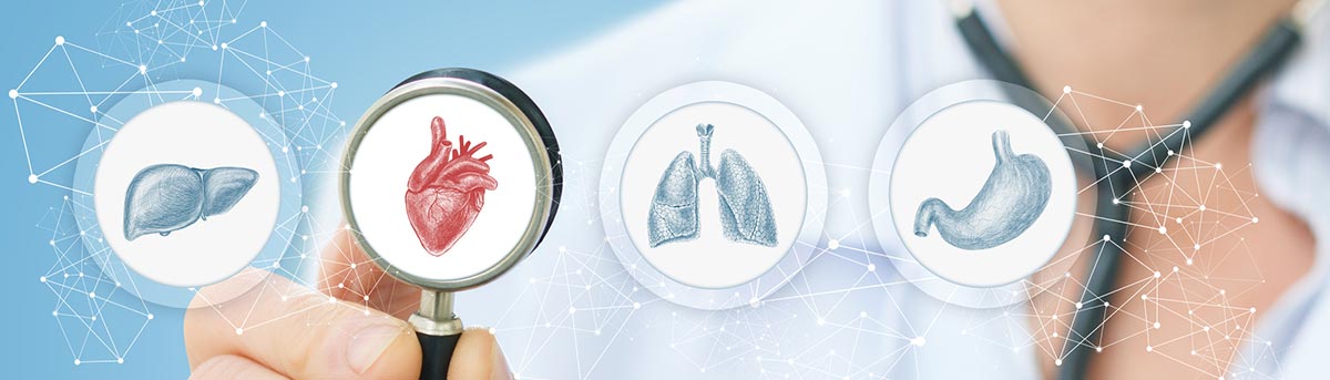 Atendimento especializado em diversas especialidades médicas Ilustração de especialidades médicas