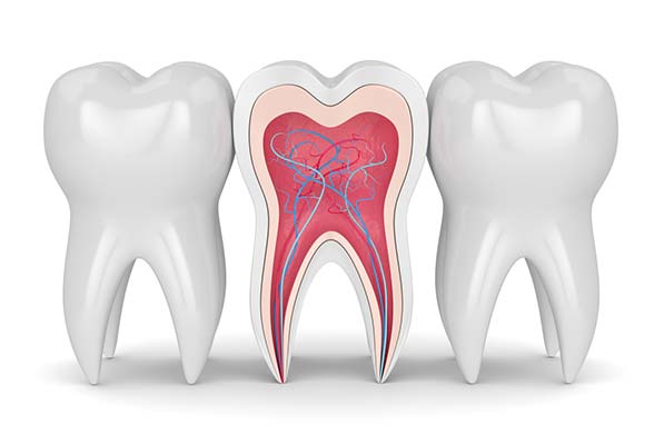 Tratamentos e procedimentos para manter a saúde bucal Ilustração da anatomia do dente