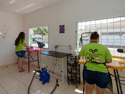 Sala de Banho e Tosa Sala de Banho e Tosa