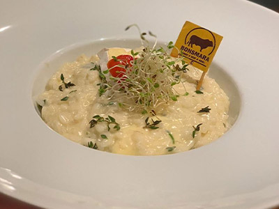 Risoto Queijo Brie Risoto Queijo Brie
