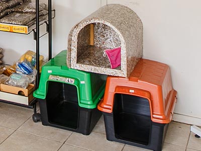 Casinha para cães Casinha para cães