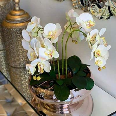 Arranjo de Orquídea Arranjo de Orquídea