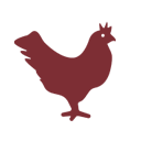 AVES AVES