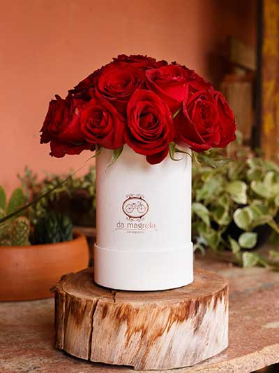 Flor em garrafa Flor em garrafa para decoração
