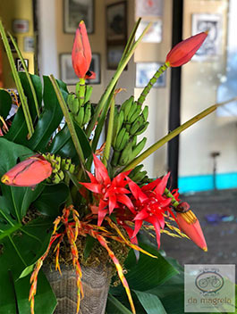 Flores para decoração de eventos eventos