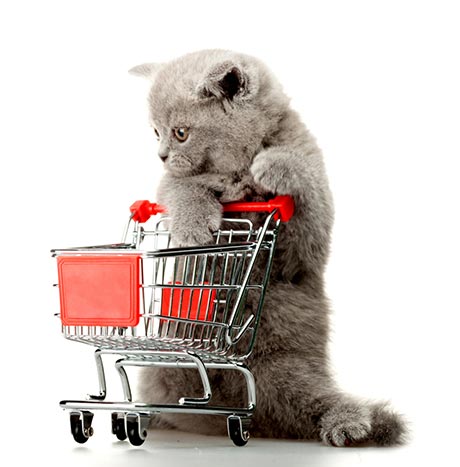 Pet shop completo Gato com produtos pet