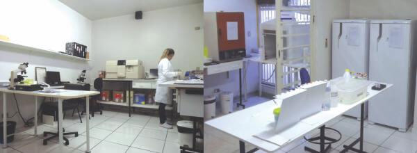 Área técnica Área técnica