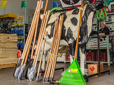 Pás, rastelos e ferramentas para jardinagem Ferramentas e ferragens