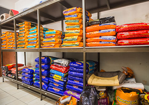 Rações de diversas marcas e sabores Rações para cães