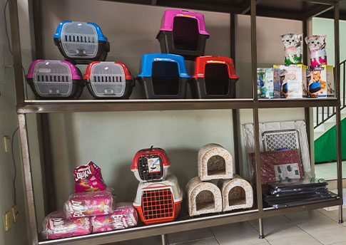 Casinha para o seu pet Casinha pet
