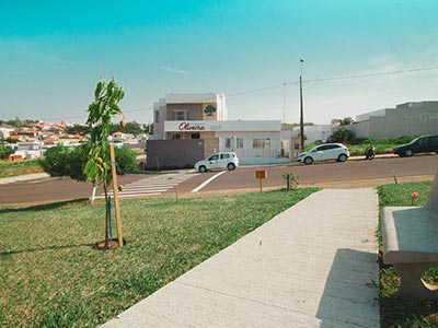 Área verde com árvores frutíferas Área verde com árvores frutíferas
