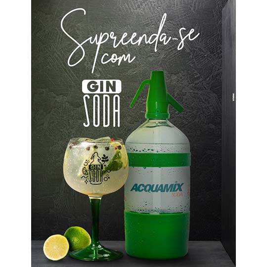 Gin Soda Gin Soda