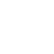 O transtorno obsessivo-compulsivo é caracterizado por pensamentos e medos irracionais (obsessões) que levam a comportamentos compulsivos TOC (Transtorno obssessivo-compusivo)