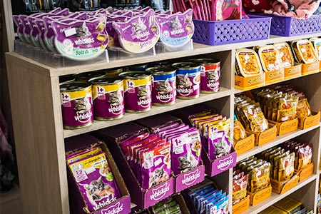 alimento para gatos alimento para gatos
