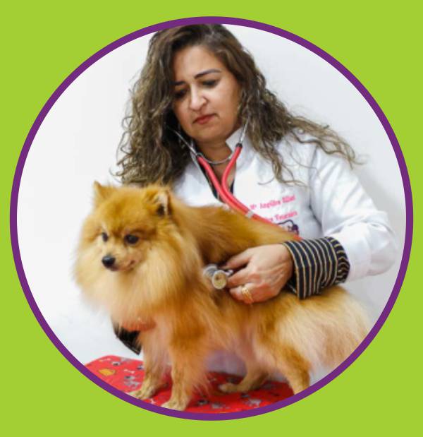 Dra. Maria Angélica S. Zilliani médica veterinária
