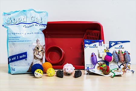 produtos para felinos produtos para felinos