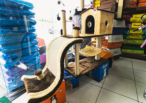 Brinquedos e diversos acessórios para o seu pet Acessórios para pets