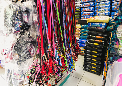 Coleiras, peitorais e guias de passeio Coleiras