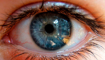 doenças da córnea, retina e vítreo doenças da córnea, retina e vítreo