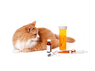 Medicamentos veterinários Medicamentos veterinários
