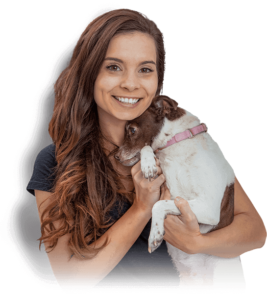 Atendimento veterinário especializado em cães e gatos Jovem segurando um cão no colo