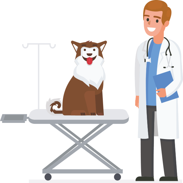 Atendimento veterinário regional Atendimento veterinário