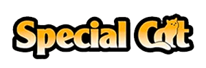 Special Cat Special Cat