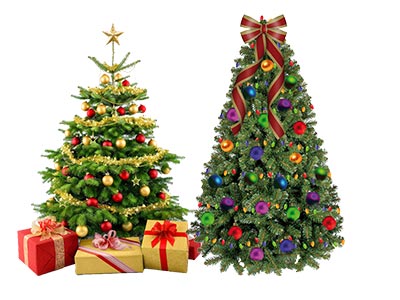 Árvores de Natal Árvores de Natal