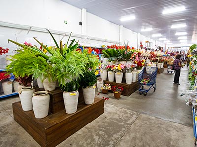 Vasos para plantas Vasos para plantas