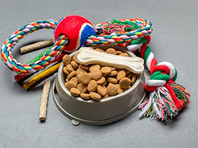Pet shop Acessórios pet