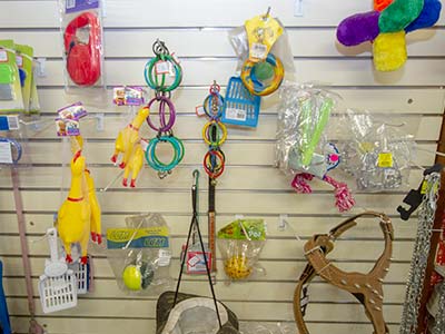Brinquedos pet Mordedores e brinquedos para o seu pet