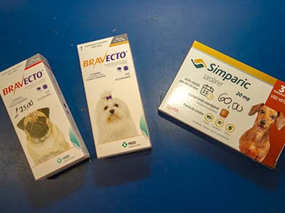 Medicamentos veterinários Remédios veterinários