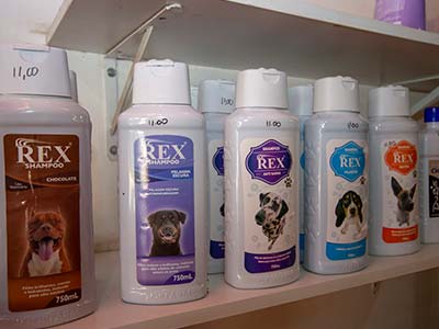 Shampoo para cachorro Shampoo para cães