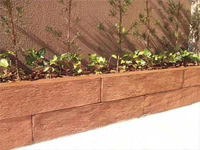 Plantas ornamentais Plantas ornamentais