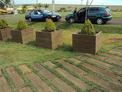 Plantas e grama para decoração de ambientes Plantas para decoração