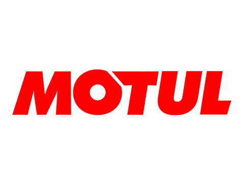 motul motul