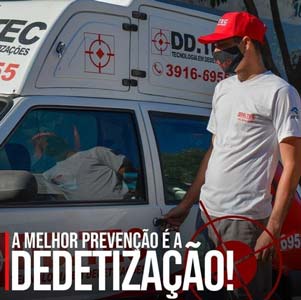 dedetização dedetização