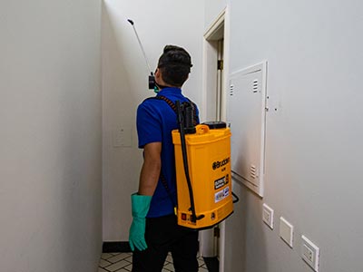 Serviços de dedetização Serviços de dedetização