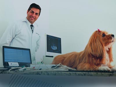 Avaliação cardiológica Avaliação cardiológica