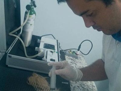 Ozonioterapia veterinária Ozonioterapia veterinária