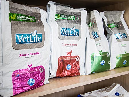 Alimentação especial para cães e gatos