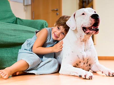 Retire pessoas e animais do ambiente diante a dedetização Criança e cachorro