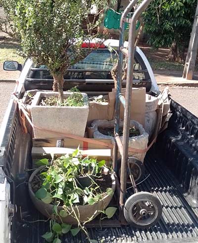 transporte de plantas transporte de plantas