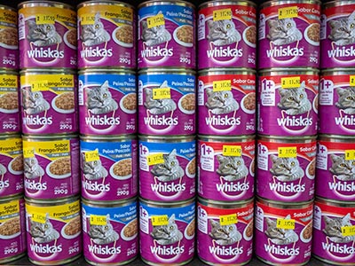 Patês para gatos Patês para gatos