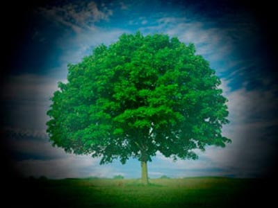 Tratamento para Glaucoma Glaucoma