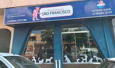 Franquia Pirapozinho Franquia Pirapozinho