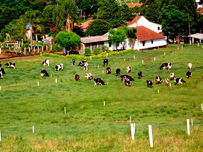 Imóvel no campo