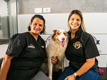 Equipe