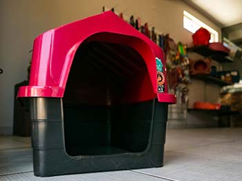 Casa para cães