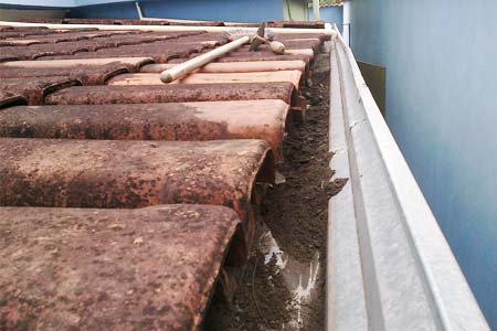 limpeza e desentupimento de calhas limpeza e desentupimento de calhas